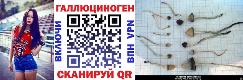 Псилоцибиновые грибы GOLDEN TEACHER  MEGA онион  Нижнеудинск 