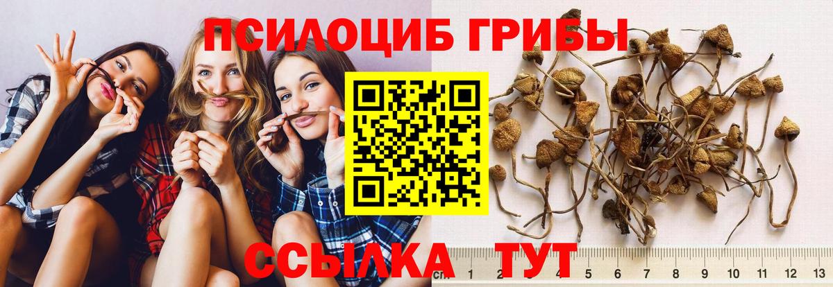 Нижнеудинск  Псилоцибиновые грибы GOLDEN TEACHER  Галлюциногенные грибы ЛСД  Вход с VPN 