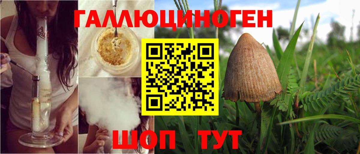 Псилоцибиновые грибы мицелий Нижнеудинск